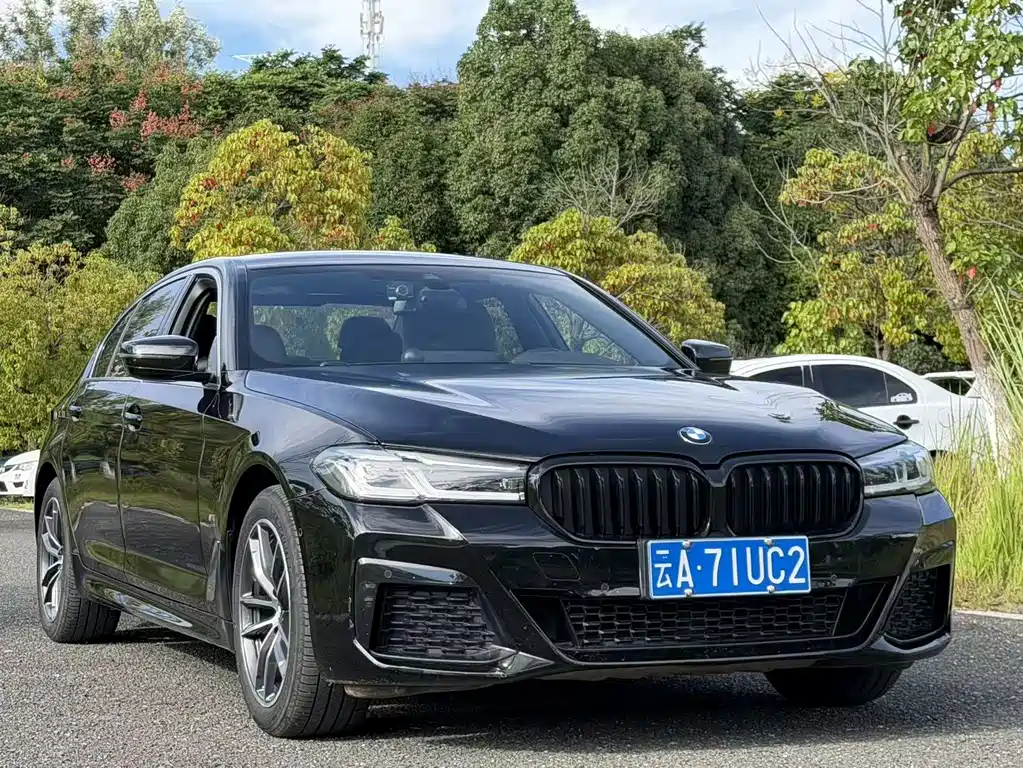 BMW 5 Series 2021