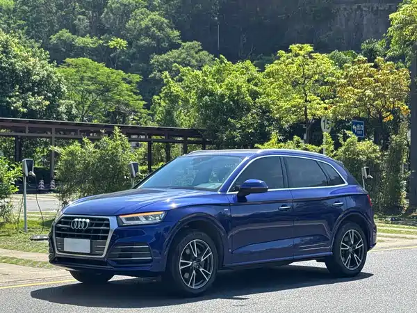 Audi Q5L 2019