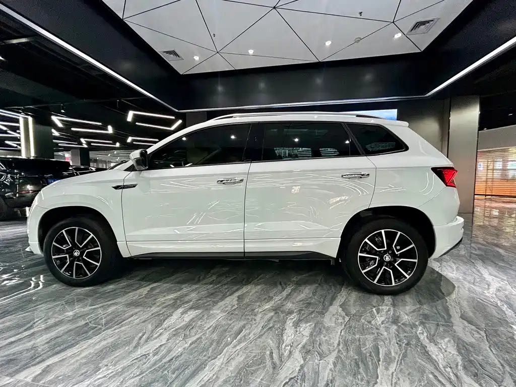 Skoda Karoq 2024 — фото 8