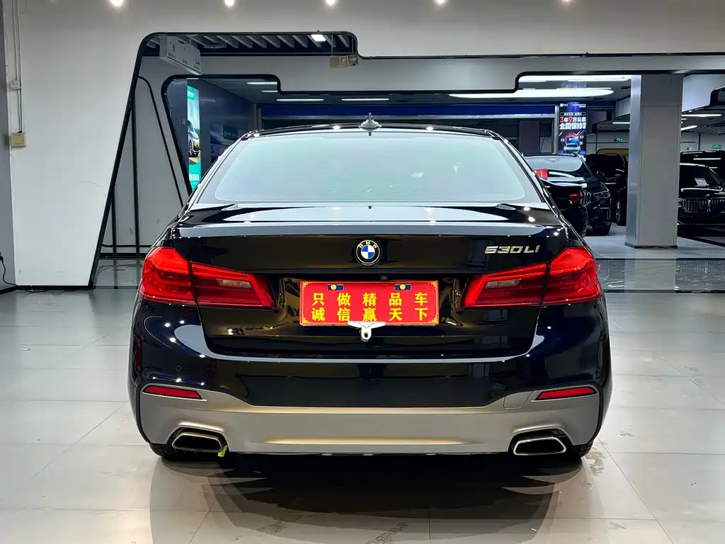 BMW 5 Series 2019 — фото 14