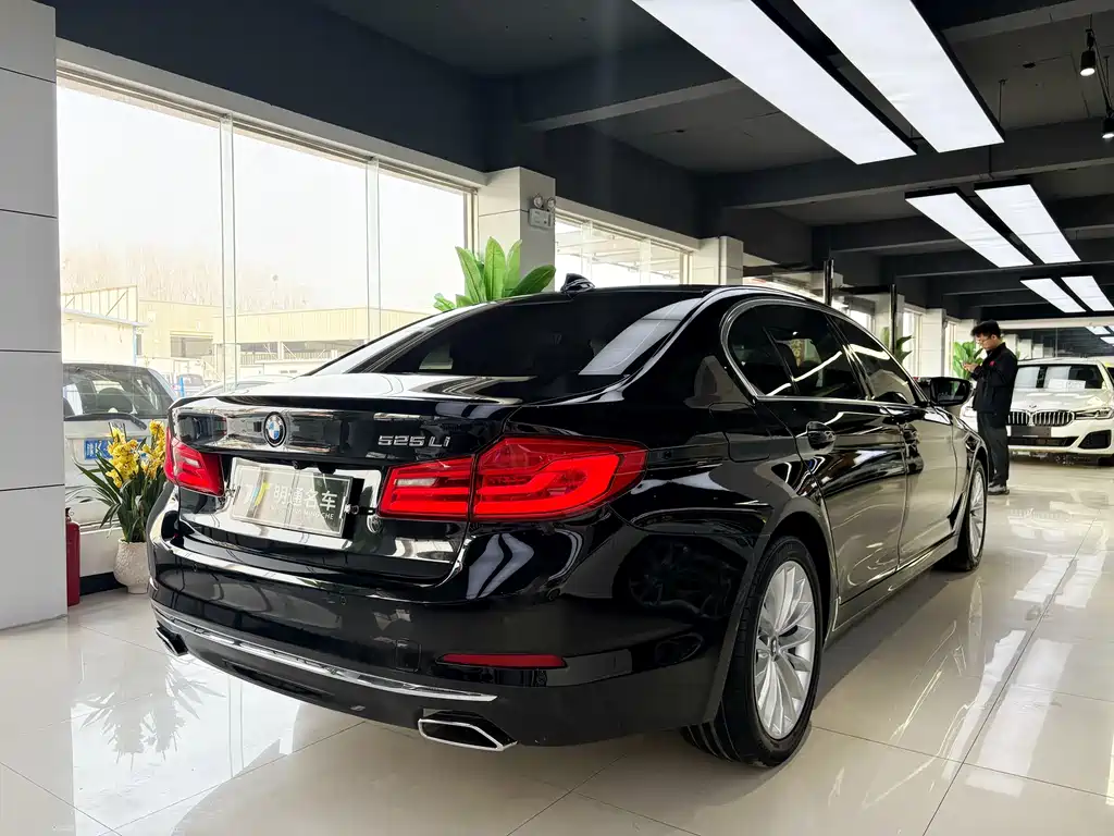 BMW 5 Series 2018 — фото 6