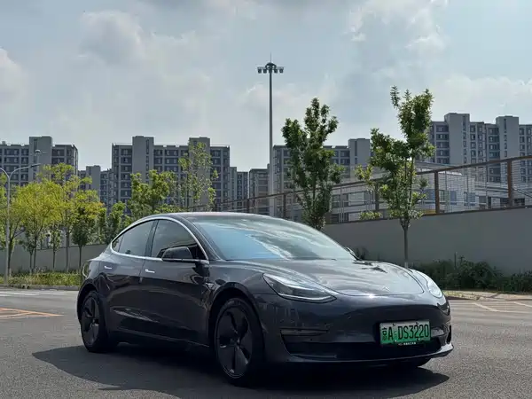 Tesla Model 3 2019