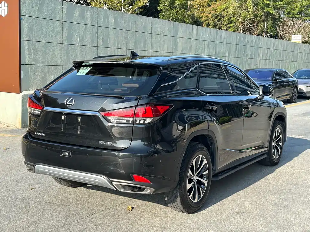 Lexus RX 2022 — фото 9