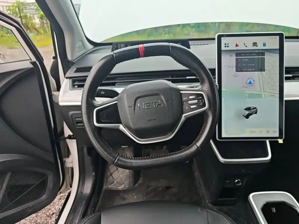 Neta V 2024