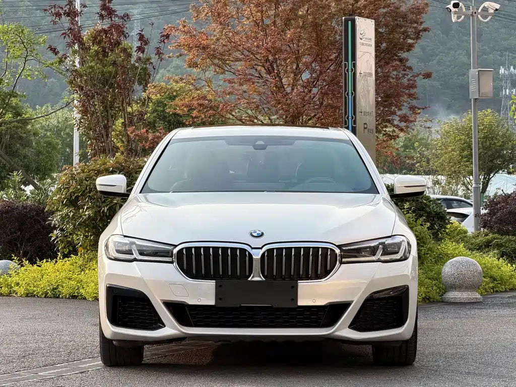 BMW 5 Series 2020 — фото 2