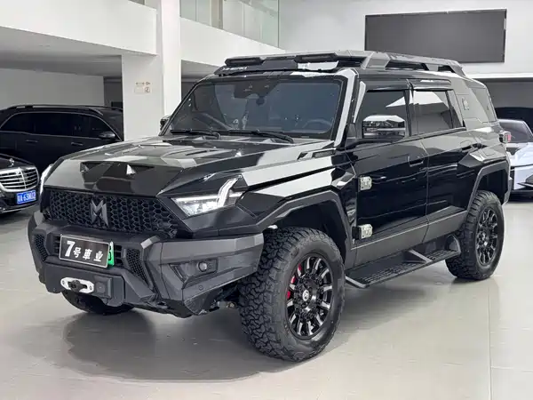 Mengshi 917 2023