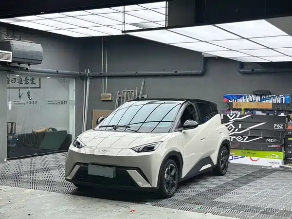 BYD Seagull 2024