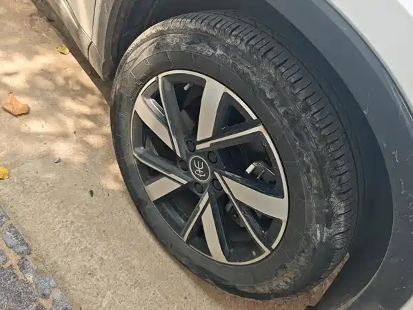 BYD Song Pro New Energy 2024