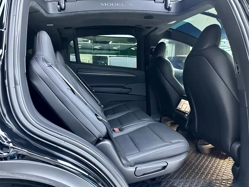 Tesla Model X 2023 — фото 14