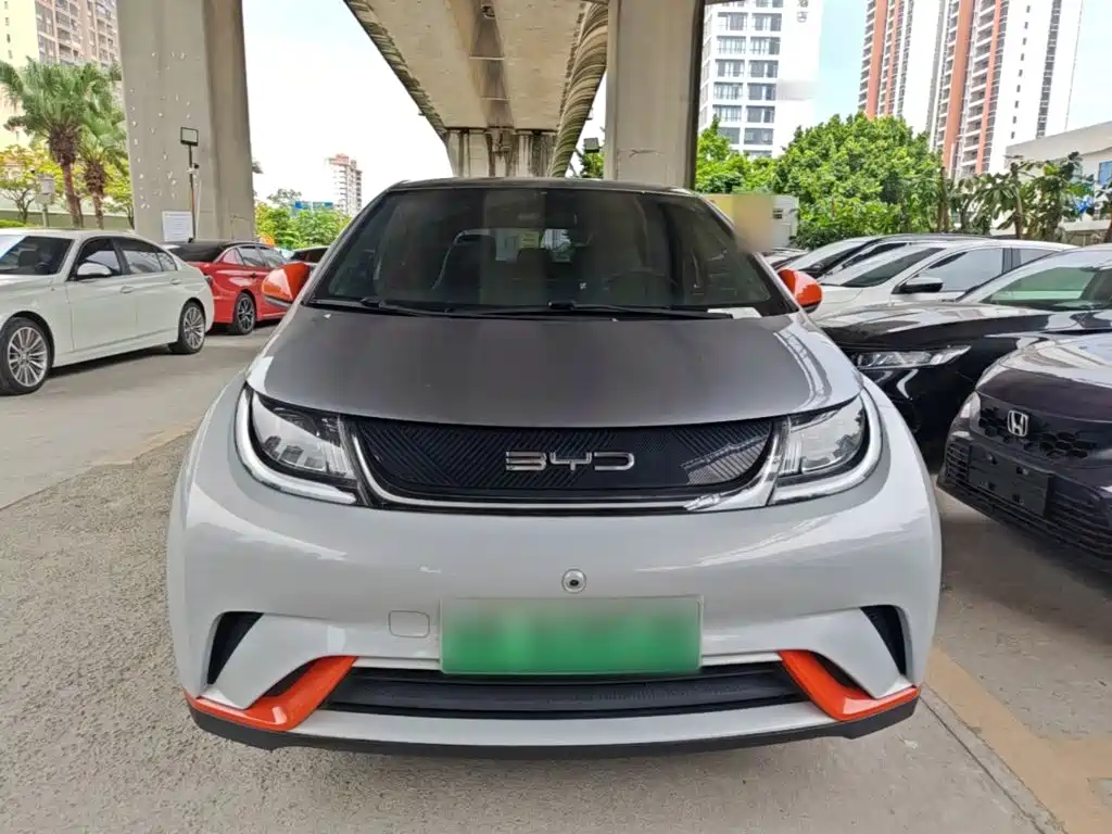 BYD Dolphin 2021
