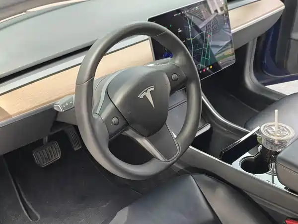 Tesla Model 3 2019