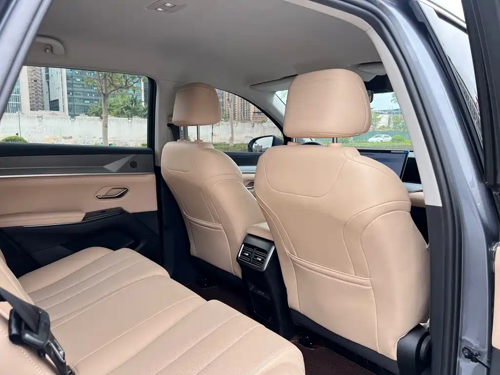 BYD Song Pro New Energy 2024 — фото 16