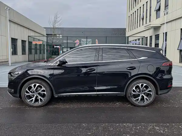 BYD Tang New Energy 2025