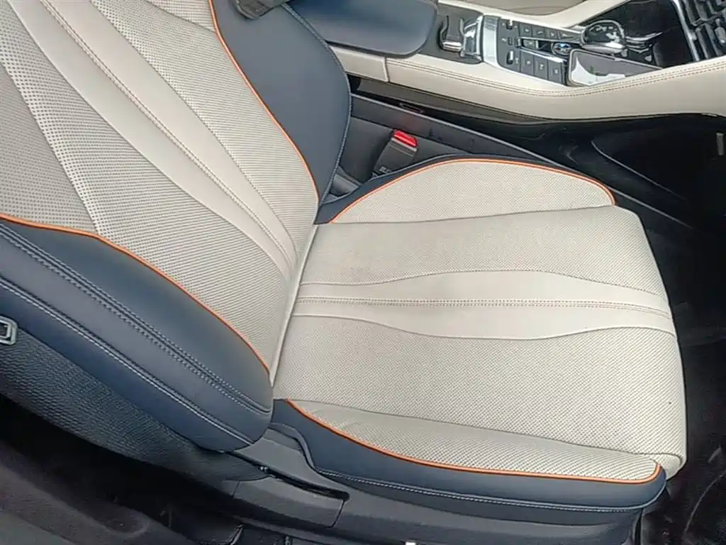 BYD PLUS New Energy 2022 — фото 25