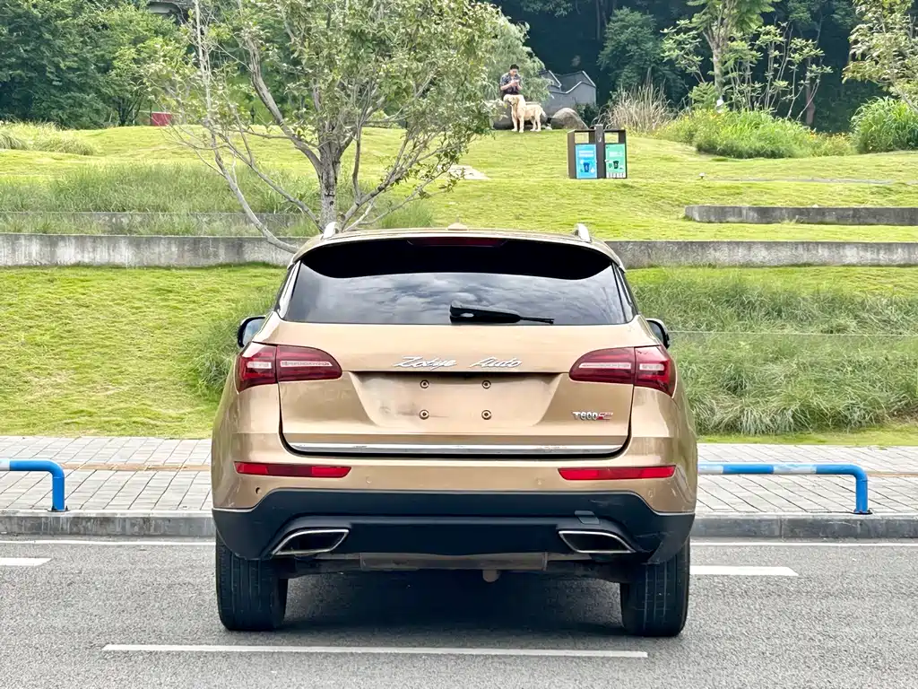 Zotye T600 Coupe 2018 — фото 15