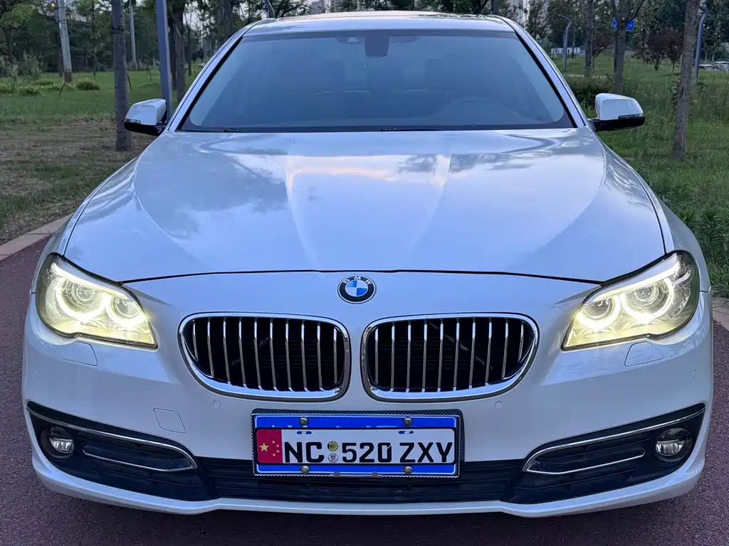 BMW 5 Series 2016 — фото 16
