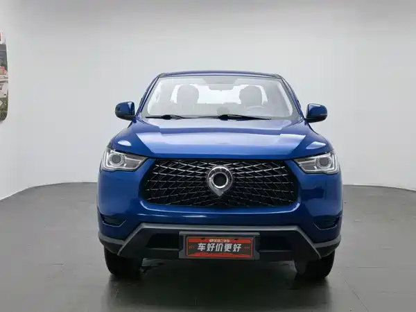 Great Wall Poer 2022