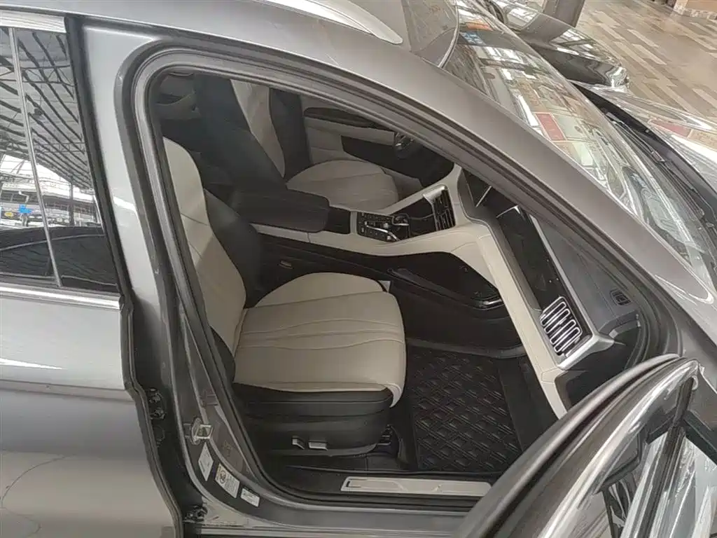BYD PLUS New Energy 2023 — фото 25