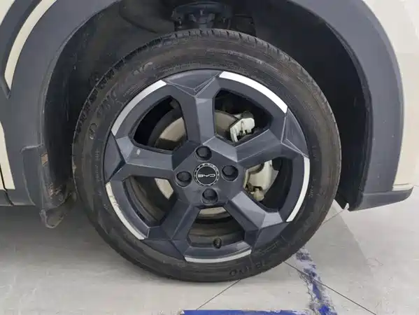 BYD Seagull 2024