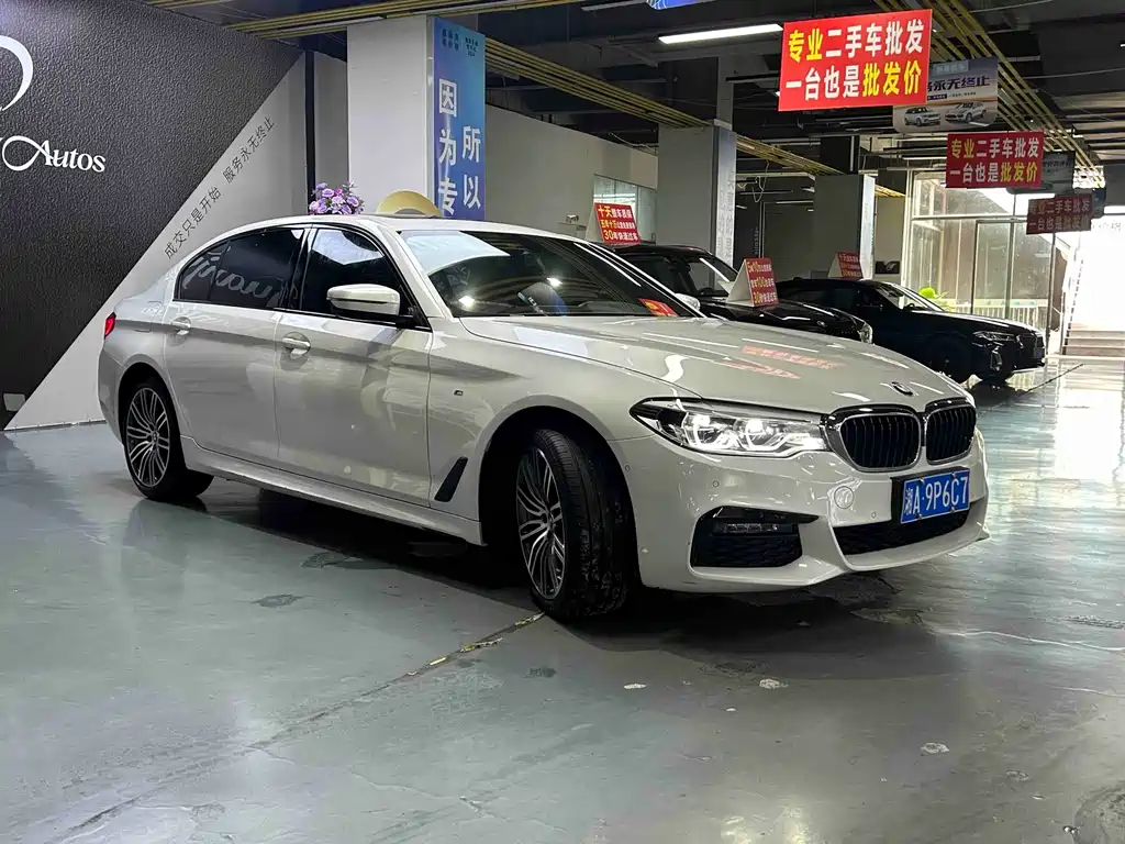 BMW 5 Series 2019