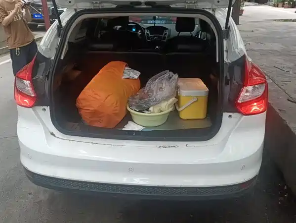 Ford Focus 2014