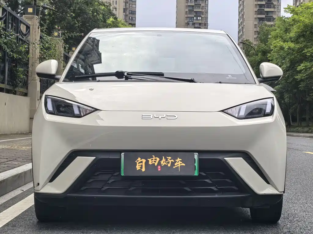 BYD Seagull 2024