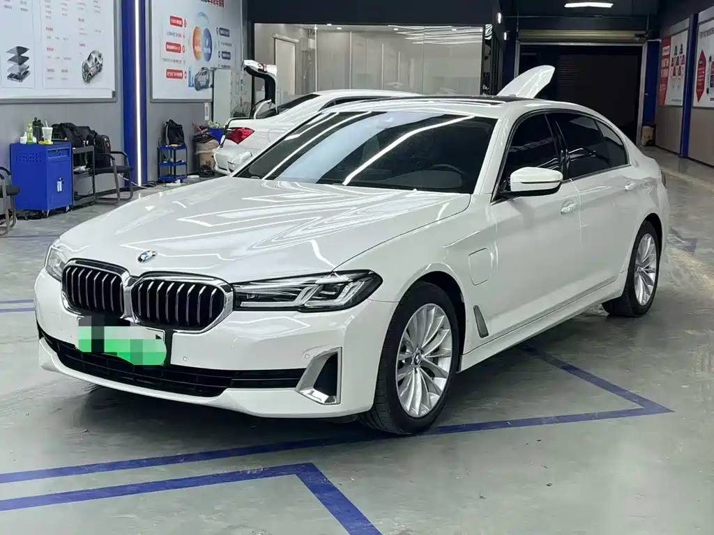 BMW 5 Series New Energy 2021 — фото 1