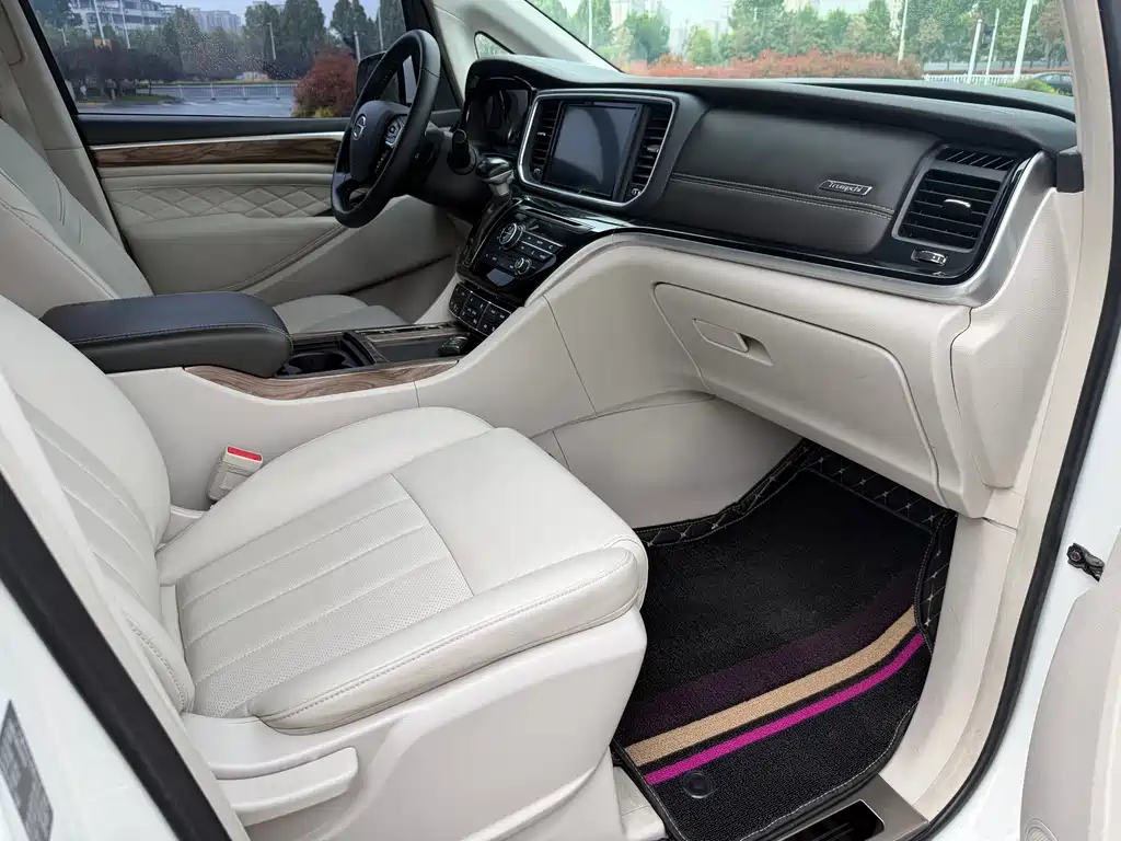 GAC Trumpchi M8 2020 — фото 17