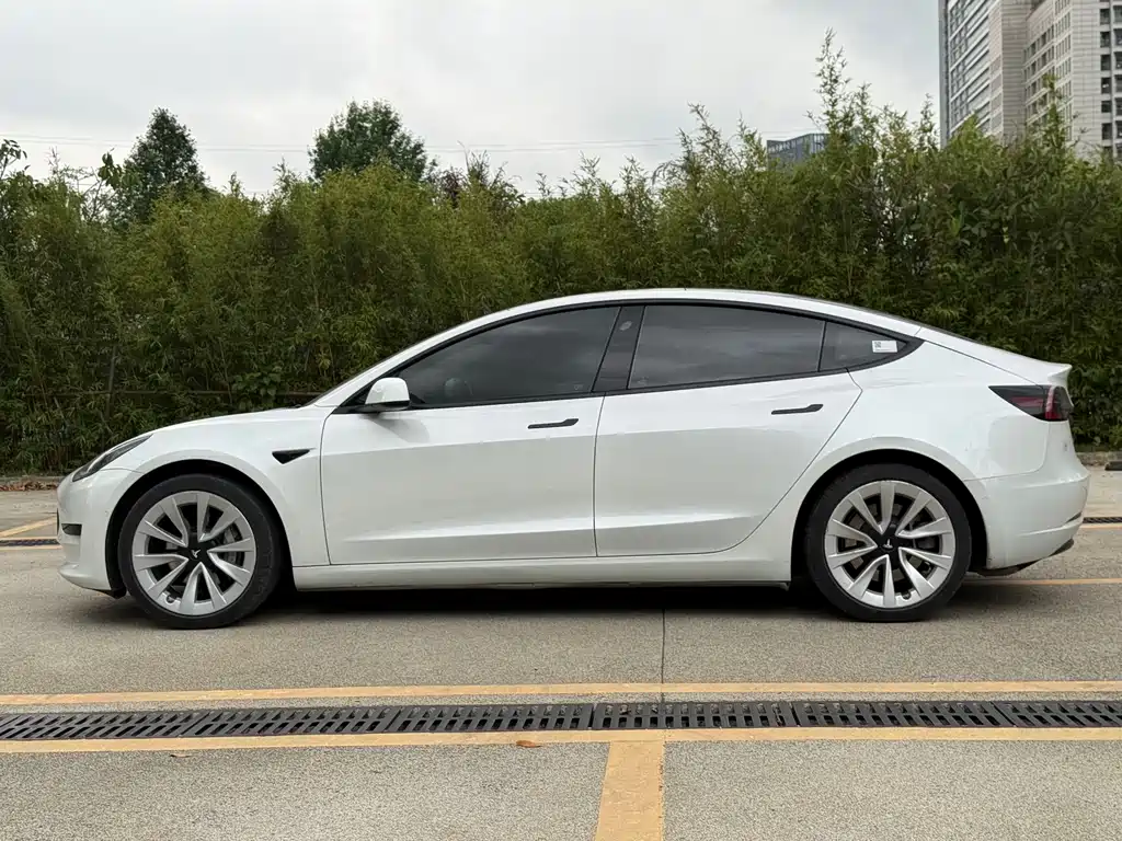 Tesla Model 3 2021 — фото 10