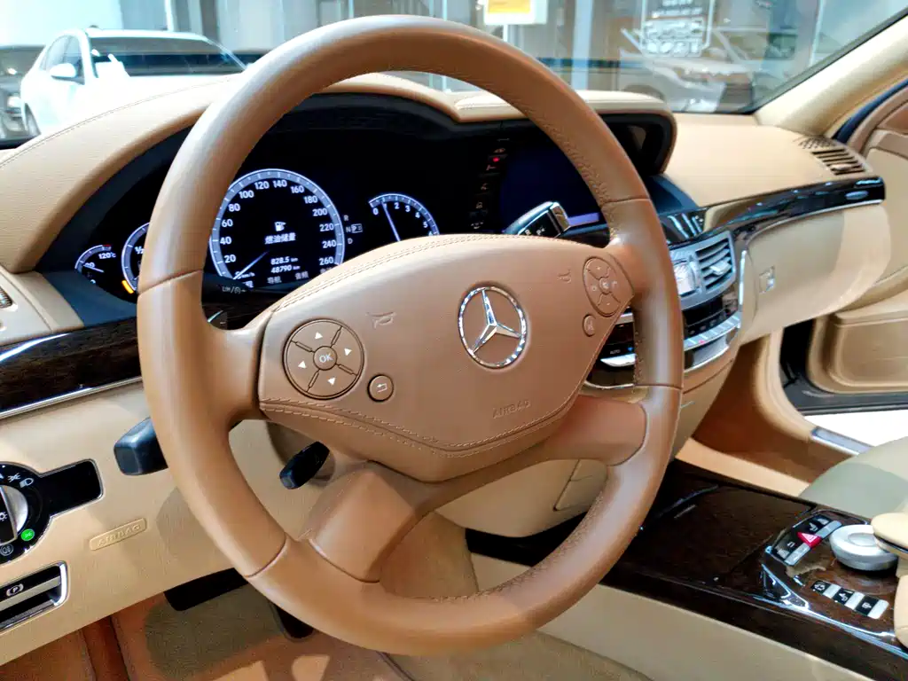 Mercedes-Benz S-Class 2013 — фото 18