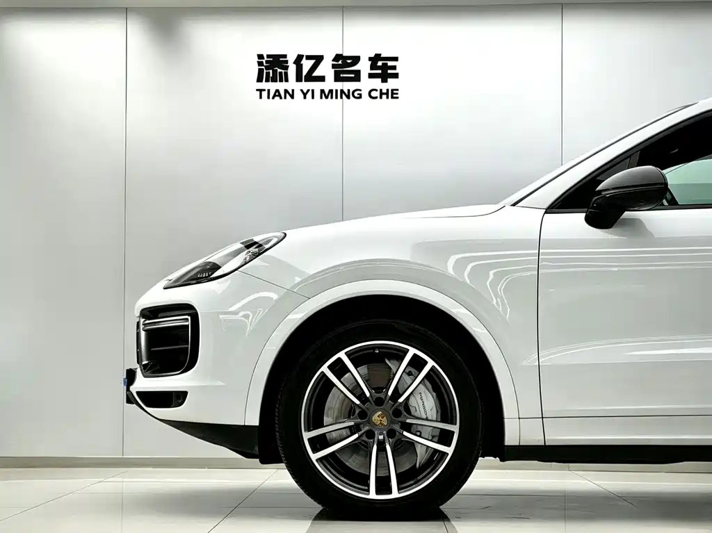 Porsche Cayenne 2021 — фото 10