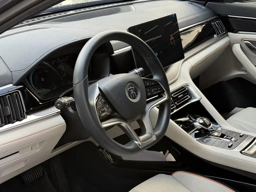 BYD PLUS New Energy 2022 — фото 3