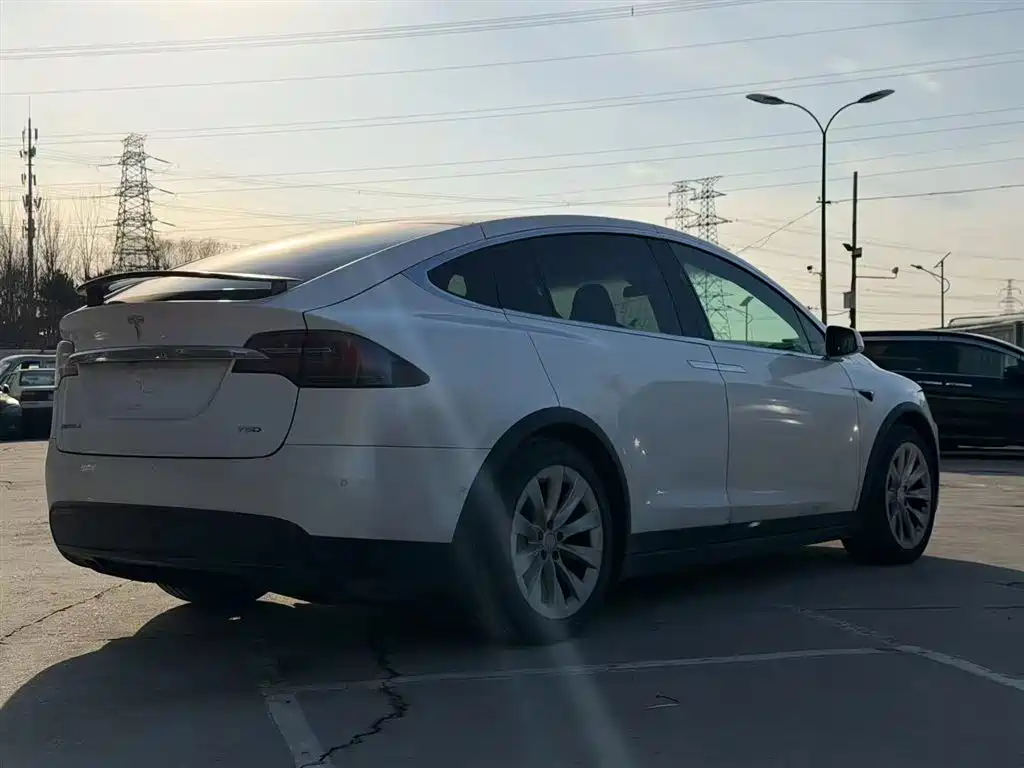 Tesla Model X 2019