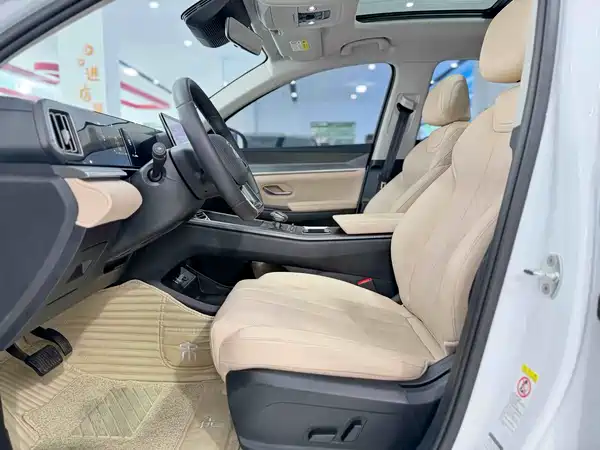 BYD Song Pro New Energy 2025