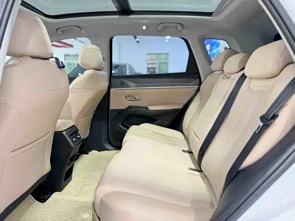 BYD Song Pro New Energy 2025