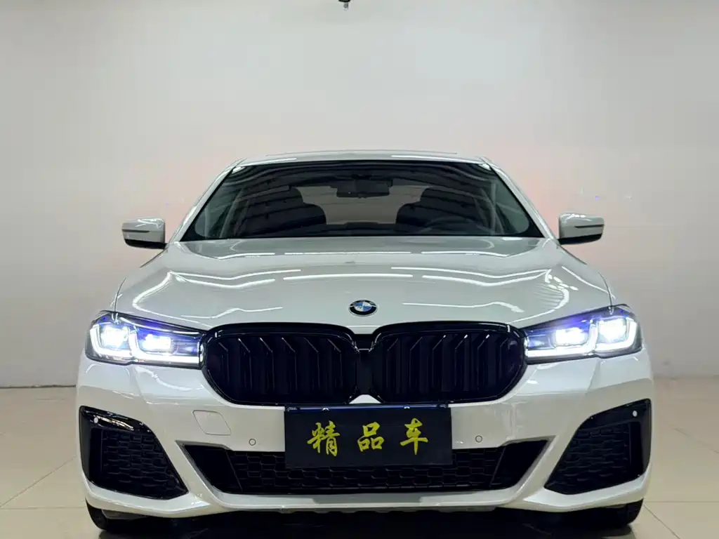BMW 5 Series 2017 — фото 2