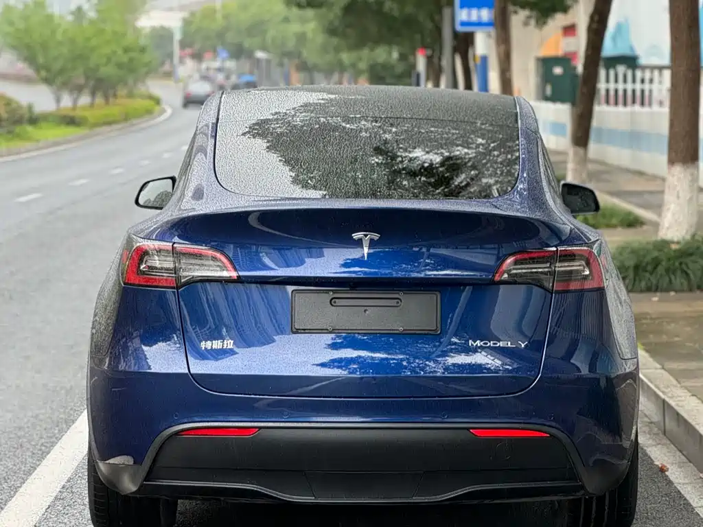 Tesla Model Y 2021 — фото 3