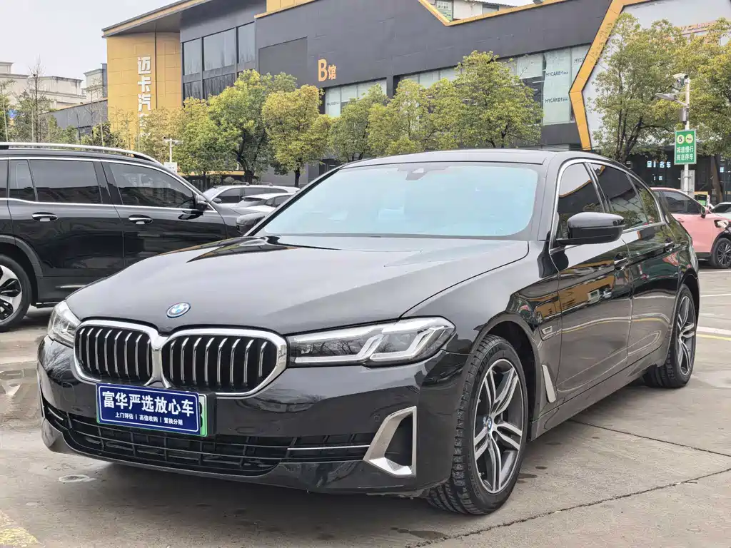BMW 5 Series New Energy 2023