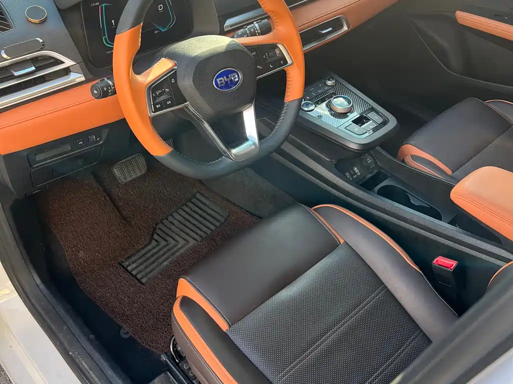 BYD e2 2020