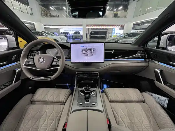 BYD Tang New Energy 2024