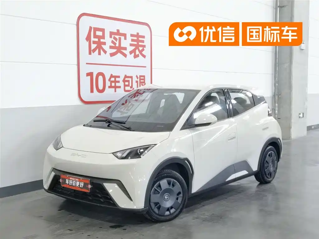 BYD Seagull 2024
