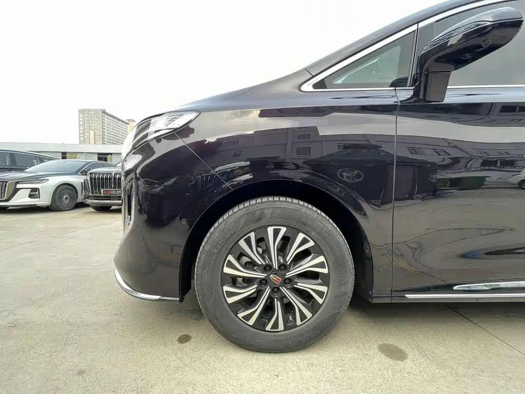 Hongqi HQ9 PHEV 2025 — фото 19