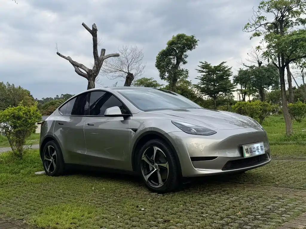 Tesla Model Y 2023 — фото 2