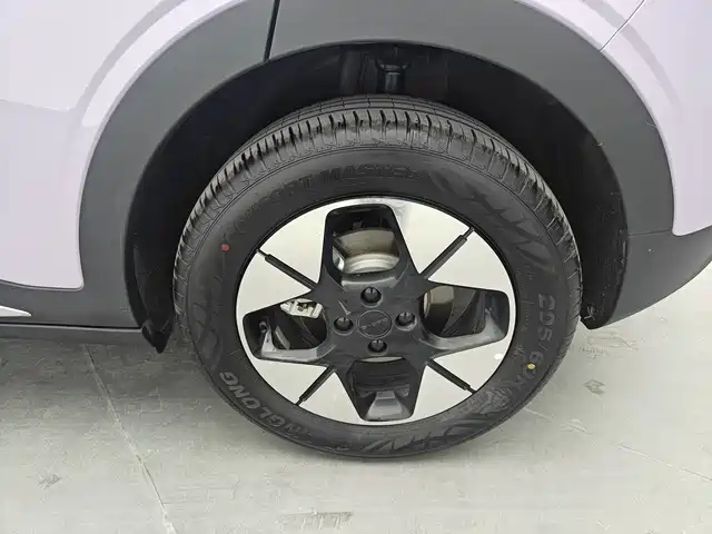 Geely Galaxy Starwish 2025 — фото 14