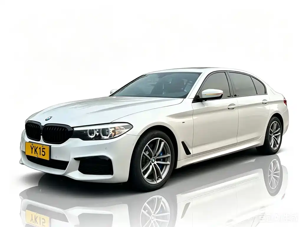 BMW 5 Series 2019 — фото 1