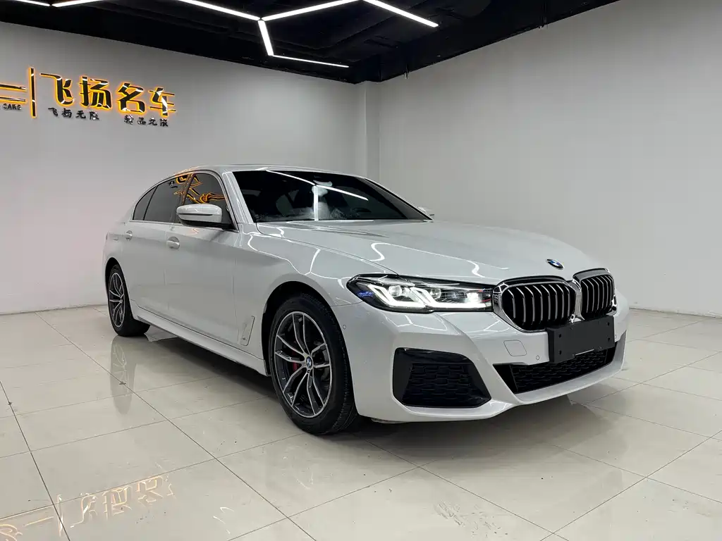 BMW 5 Series New Energy 2021