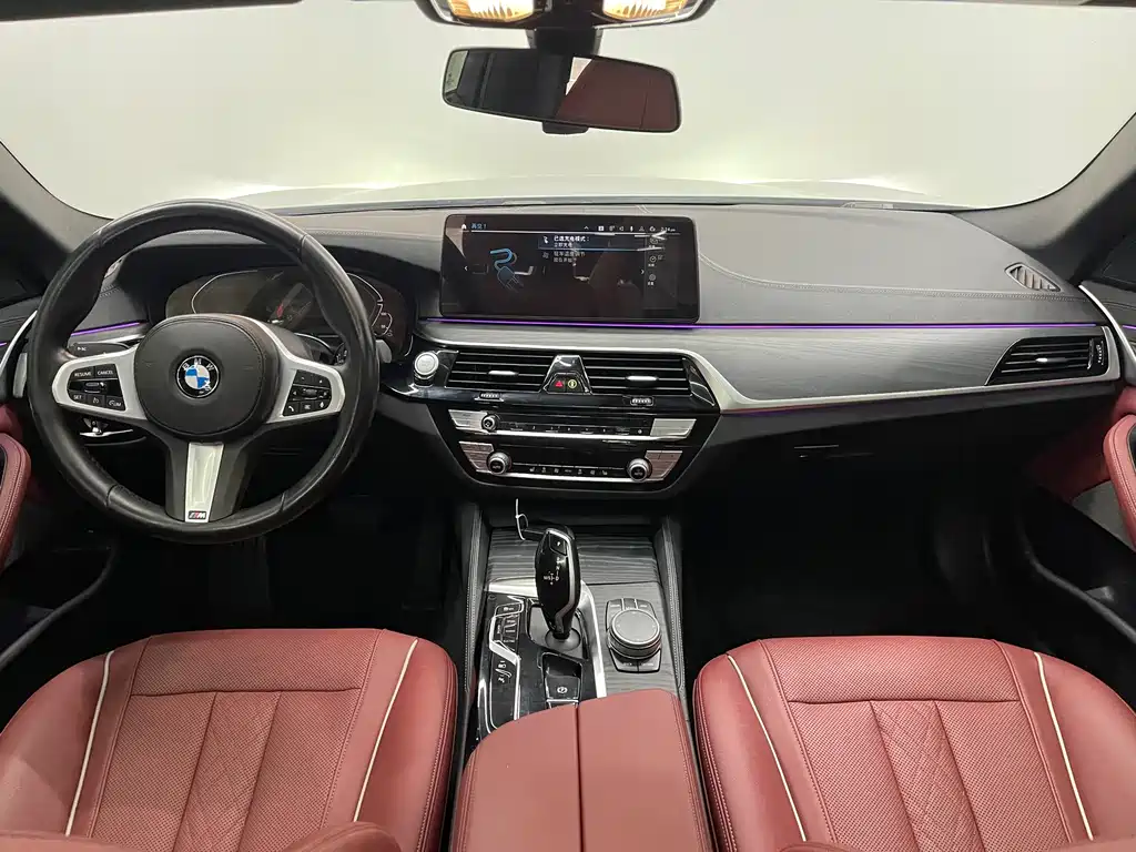 BMW 5 Series New Energy 2021