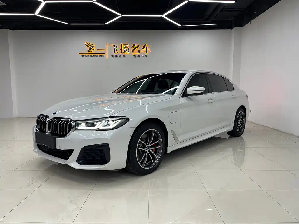 BMW 5 Series New Energy 2021