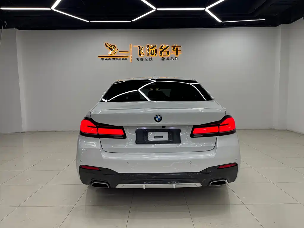 BMW 5 Series New Energy 2021 — фото 16