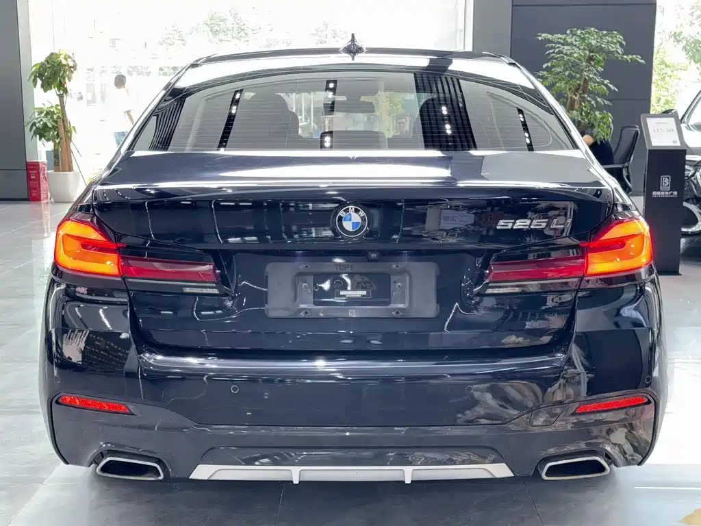 BMW 5 Series 2022